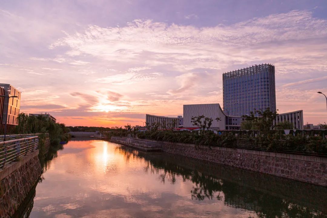 IMG_4230-216.jpg 圖片