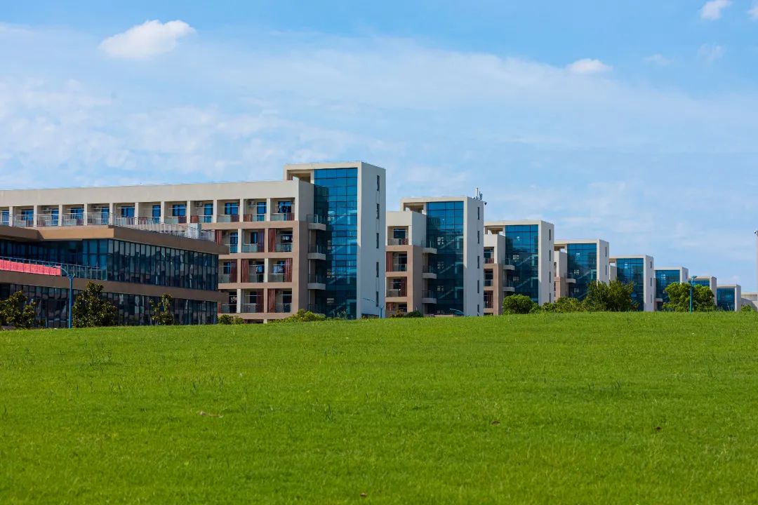 FU8A9174-53.jpg 圖片