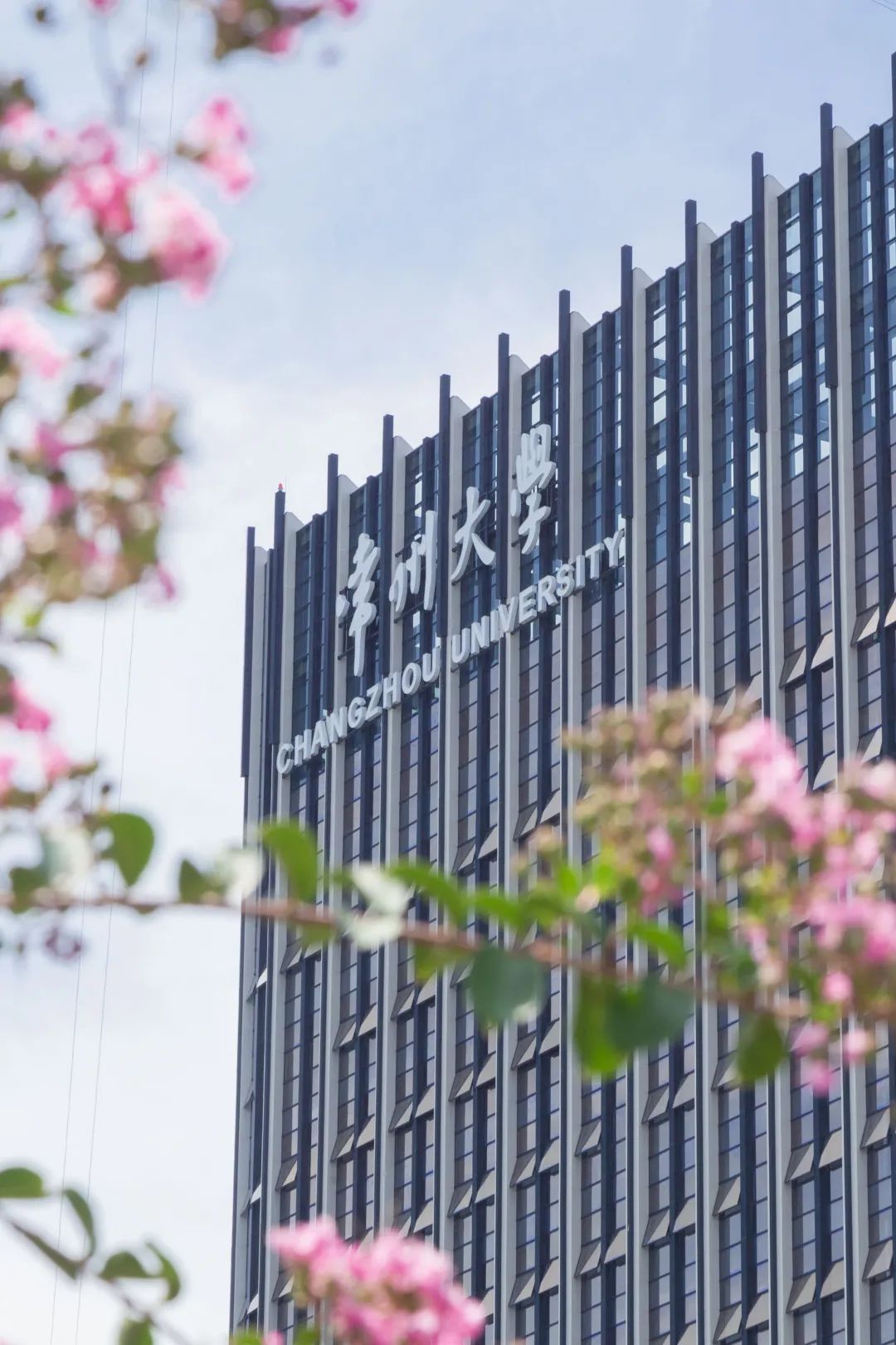 IMG_3981-7.jpg 圖片